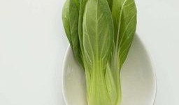 青菜爆料视频大全图片