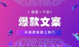 官方爆料宣传视频文案,宣传视频文案背后的精彩故事