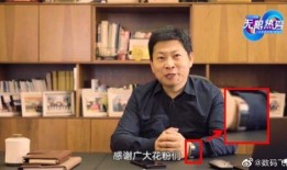 华为ceo最新爆料视频,揭秘未来科技发展趋势与华为战略布局