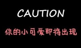 娱乐吃瓜酱全力以赴,全力以赴，揭秘娱乐圈幕后风云