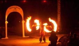 星期天剧情爆料视频,悬念迭起，真相即将揭晓！