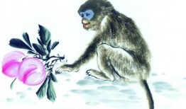 十二 猴子 在线观看