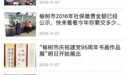 吉林榆树新闻最新爆料,最新爆料揭示惊人真相