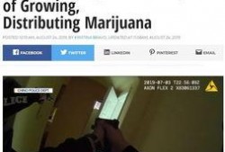 美国加州病毒爆料视频,真相与阴谋交织