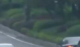 网约车女乘客 爆料新闻,惊险遭遇引关注，安全出行亟待重视