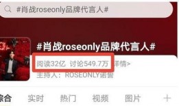 板鸭新装甲爆料视频播放,视频爆料揭示先进防御科技