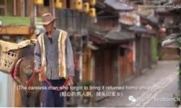 温琪寻马记在线观看,一场奇幻冒险之旅