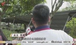 湛江怎么爆料今日关注,今日关注事件深度解析