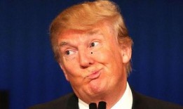 特朗普娱乐圈爆料事件视频,揭秘政治与娱乐的跨界风云