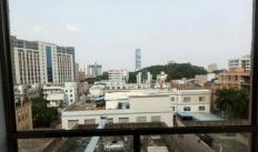 东莞长安爆料网最新消息,聚焦热点事件，揭秘背后真相