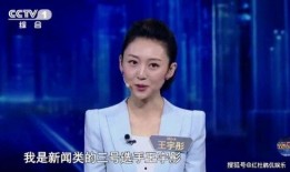 王宇媳妇爆料新闻事件是真的吗,新闻事件真实性调查