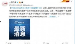 农村小厨被管理爆料视频,揭秘爆火视频背后的真相