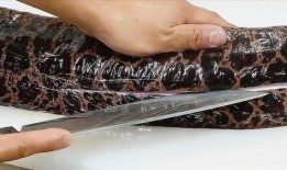 鳗鱼在线观看免费,免费畅享深海奇遇之旅