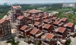 湛江怎么爆料今日关注,今日关注事件深度解析