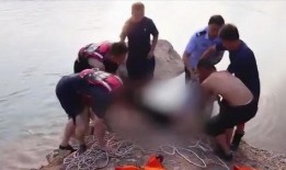 爆料小女孩溺水事件视频,小女孩溺水事件视频引发社会关注