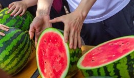 免费吃瓜的地方陪审,揭秘陪审员背后的福利世界