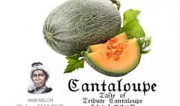 娱乐吃瓜设计理念是什么,揭秘娱乐圈幕后故事，带你领略趣味横生的娱乐圈生态