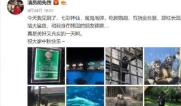 海杨村里人爆料视频,揭秘村庄背后惊人真相