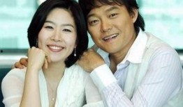 两个妻子在线观看,网络时代的情感交织