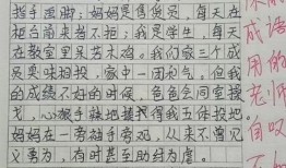 小学生作文爆料视频