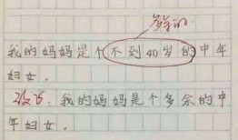 小学生作文爆料视频