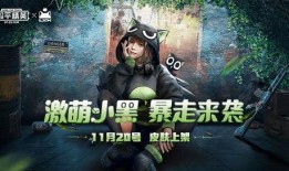 和平精英罗小黑最新爆料,和平精英新角色爆料，神秘技能引玩家热议