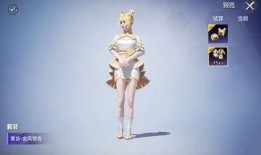 和平精英最新中转盘爆料,神秘元素揭晓，游戏体验再升级