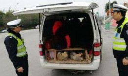 泉州面包车爆料最新消息