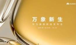 华为ceo最新爆料视频,揭秘未来科技发展趋势与华为战略布局