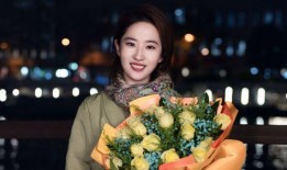 爆料玫瑰的故事视频播放,揭秘视频背后的惊人故事