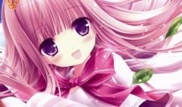 三少爆料动漫视频下载百度云,独家动漫视频下载攻略，百度云轻松获取！