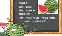 默默心语吃瓜全文免费阅读,瓜田里的情感纠葛