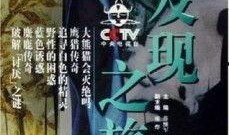 cctv发现之旅在线观看,CCTV发现之旅在线观看之旅