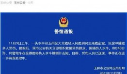 广西最新爆料新闻视频,神秘事件视频引发热议，真相即将揭晓