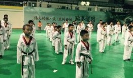 洪英跆拳道爆料事件视频,真相与争议的交织