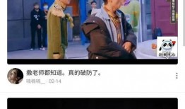 时尚扒卦爆料视频大全集,视频大全集深度解析