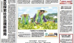 金华爆料最新新闻,揭秘XX事件背后真相