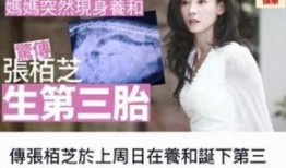 爆料生五胎网红是谁啊视频,网红五胎之谜，她是如何做到的？