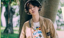 圈内爆料鹿晗鞠婧祎,圈内爆料引热议