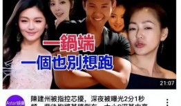 多人爆料陈建州视频播放,真相与争议