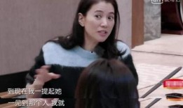 袁咏仪爆料娱乐圈,幕后真相与明星心酸