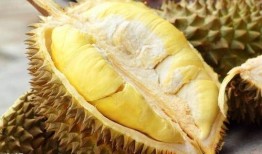 榴莲皮肤爆料视频大全,视觉盛宴，带你领略独特魅力