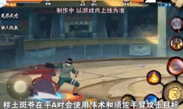 无忍者技能爆料大全最新,全新技能解析与实战攻略