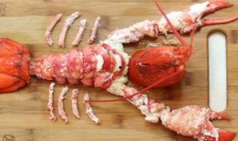 飞哥爆料虾仁视频播放全集,虾仁视频全揭秘，精彩瞬间一网打尽！