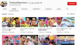 迪拜网红爆料视频播放,视频播放背后的火爆现象