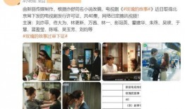 爆料玫瑰的故事视频播放,揭秘视频背后的惊人故事