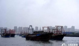 爆料渔船视频播放大全集,渔船视频大全集精彩瞬间回顾