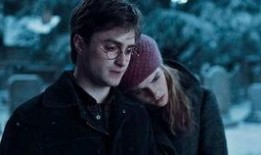 哈里波特h版在线观看,揭秘魔法世界的奇幻之旅