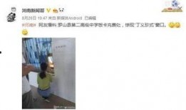 河南中学爆料新闻视频,揭秘校园内幕事件