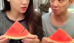 娱乐圈吃瓜搞笑视频大全,搞笑视频大盘点